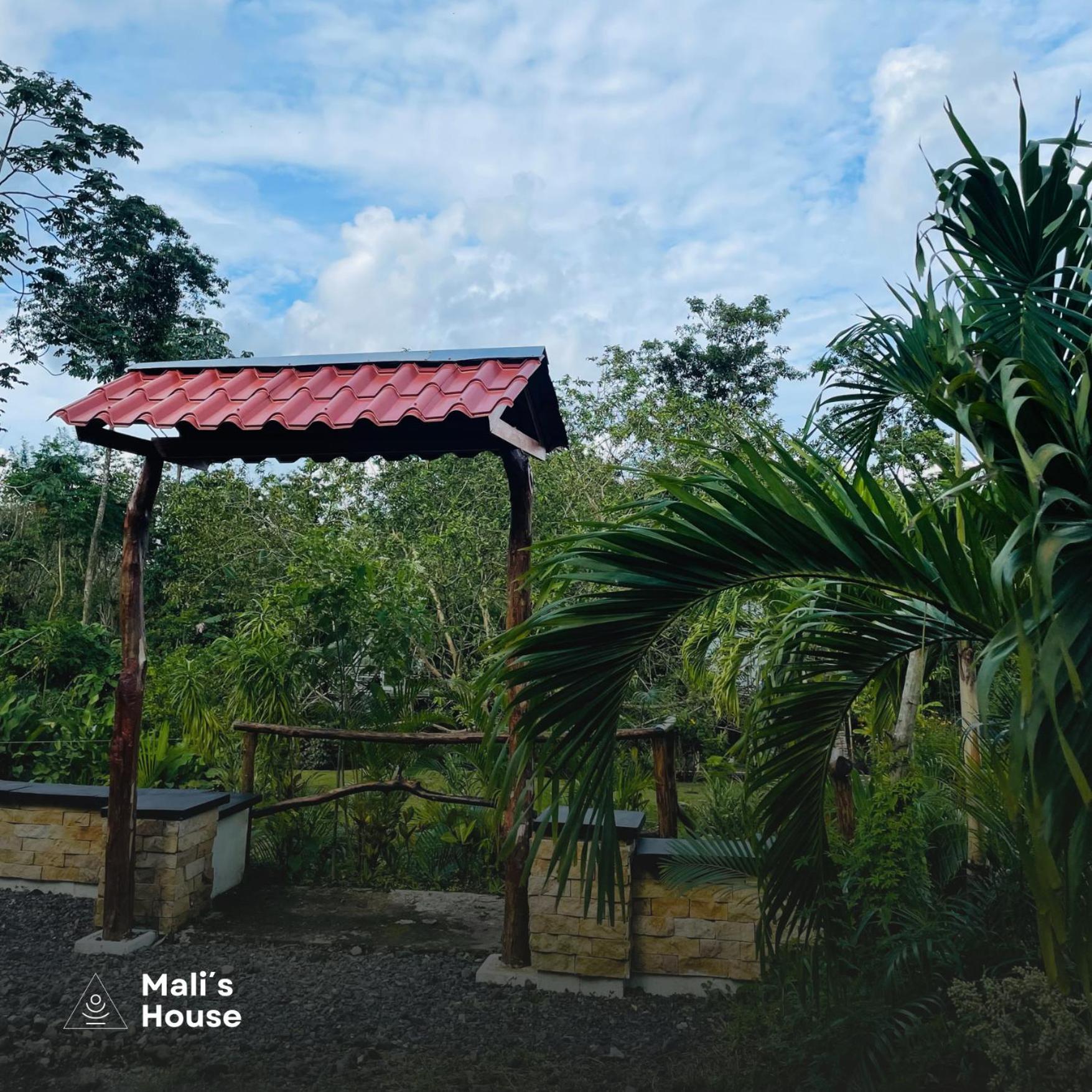 Готель Mali'S House La Fortuna Екстер'єр фото